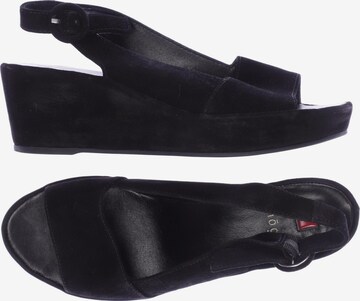 Högl Sandals & High-Heeled Sandals in 38 in Black: front