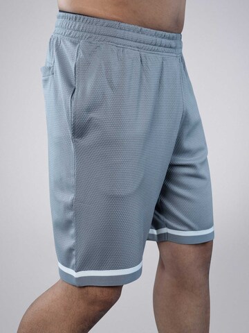PANTONECLO Boardshorts 'Pantoneclo Men’s Gym Shorts' in Grijs