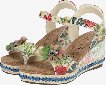 Laura Vita Sandals in Mixed colors