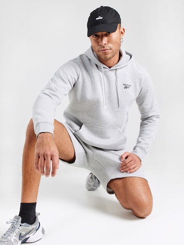 Reebok Sportsweatshirt 'NOAH' in Grijs: voorkant