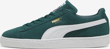 Baskets basses 'Classic' PUMA en vert : devant