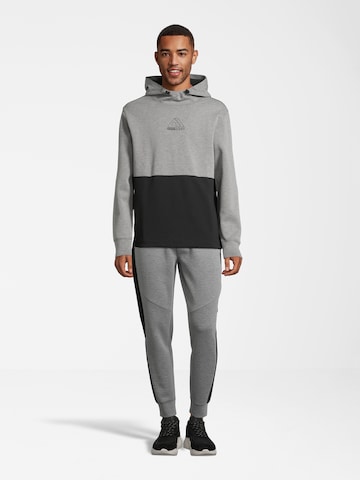 AÉROPOSTALE Sweatshirt in Grey