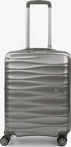 Roncato Cart in Silver: front