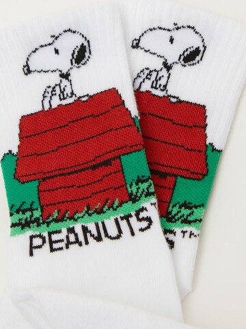 CALZEDONIA Socken 'PEANUTS | SNOOPY' in Weiß