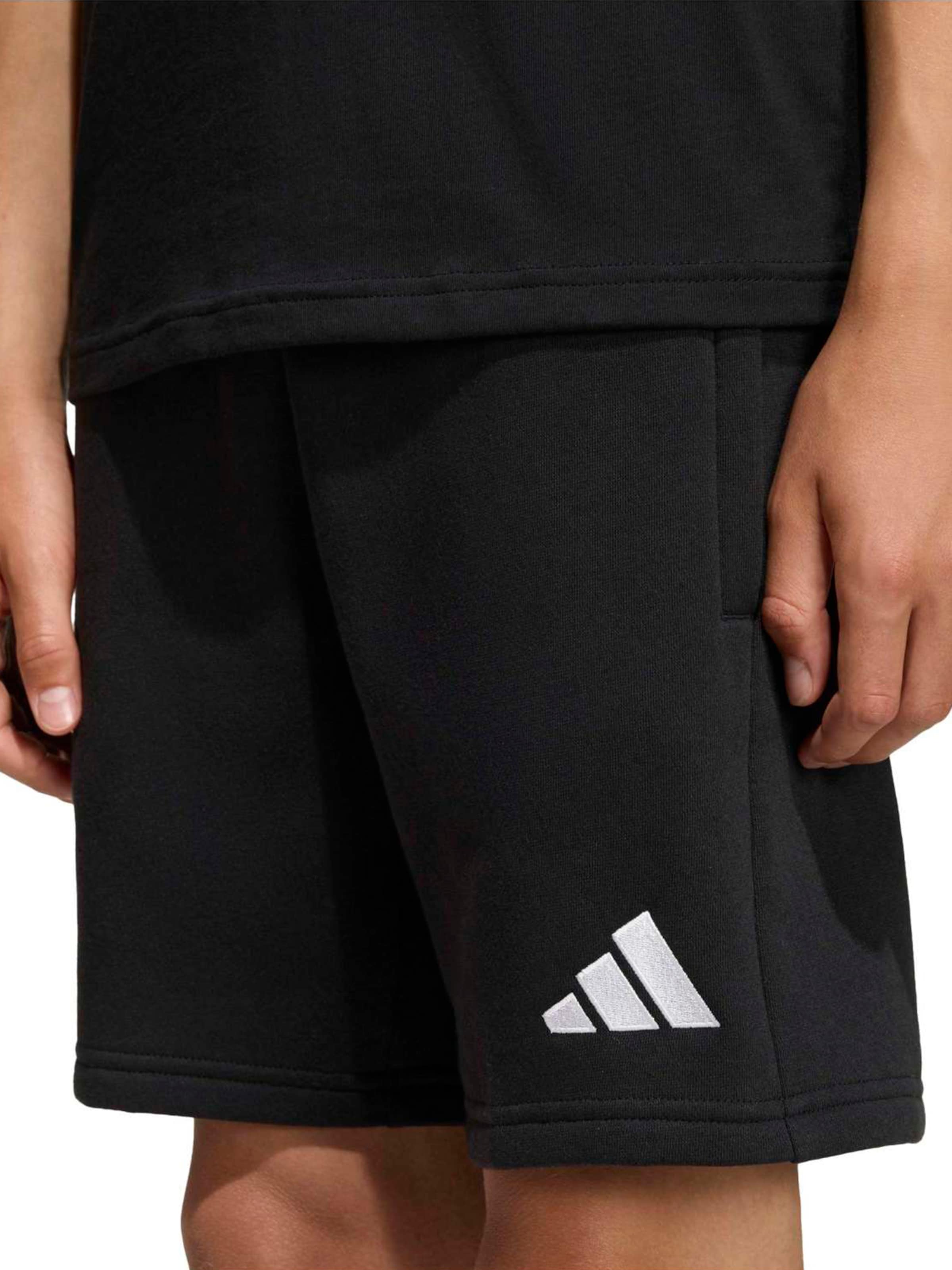 ADIDAS PERFORMANCE - regular Pantalón deportivo 'ENT26' en negro