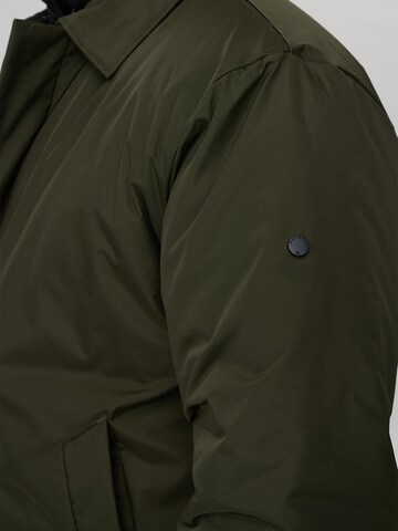 Dxnmxrk Winter jacket 'DXFarmand' in Green