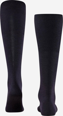 FALKE Knee High Socks in Blue