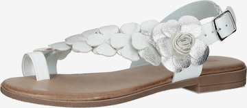IGI&CO Sandals in White: front