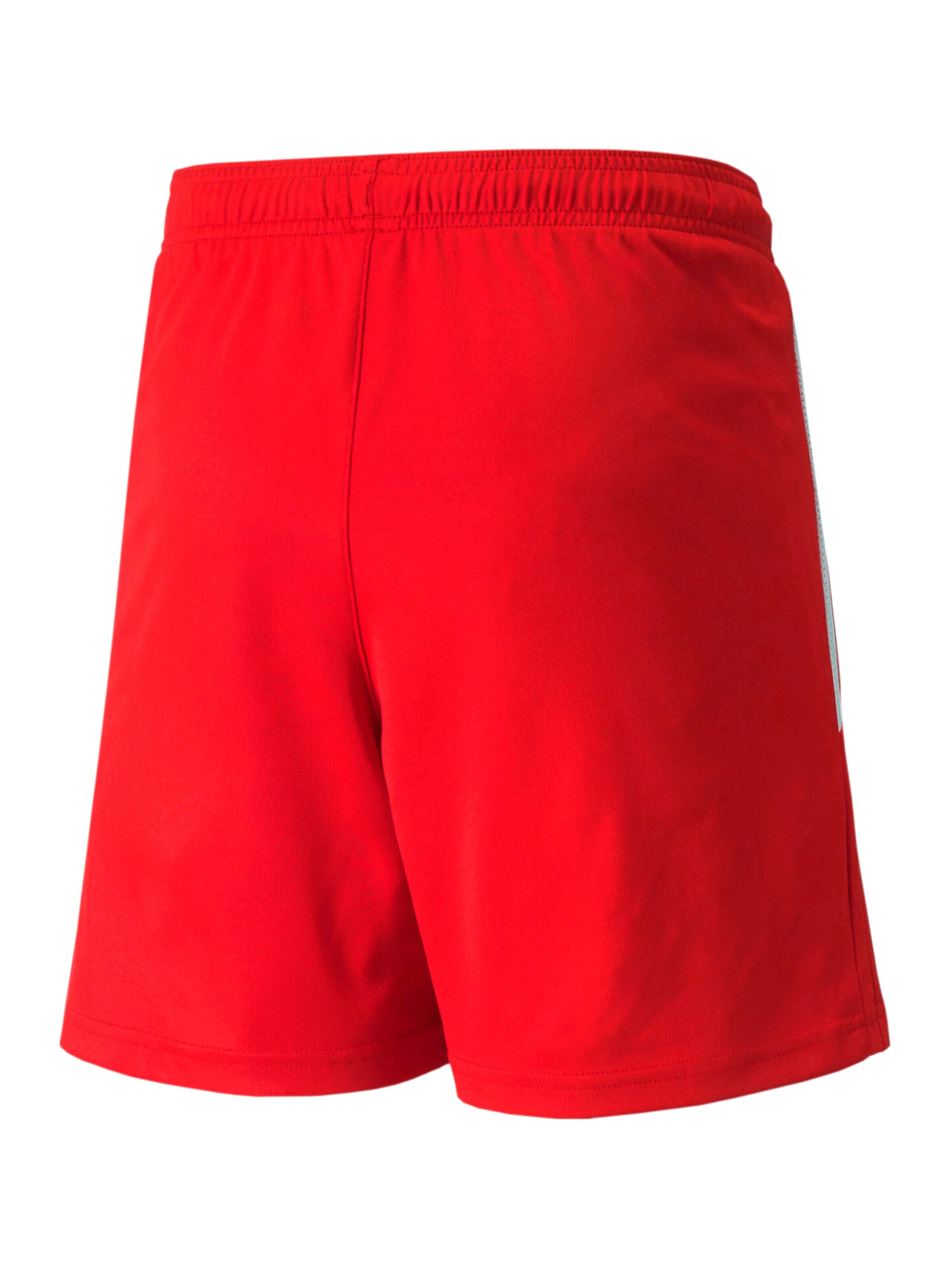 Regular Pantalon de sport 'TeamLiga' PUMA en rouge