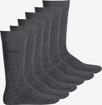 GANT Socks in Grey