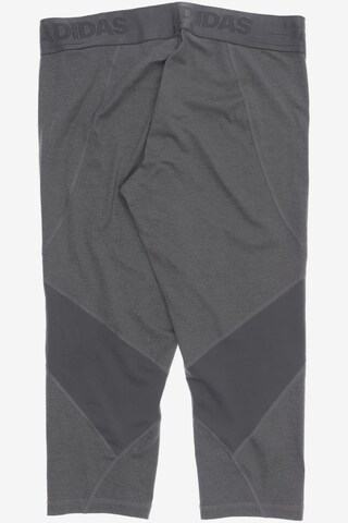 ADIDAS PERFORMANCE Pants in L in Grey