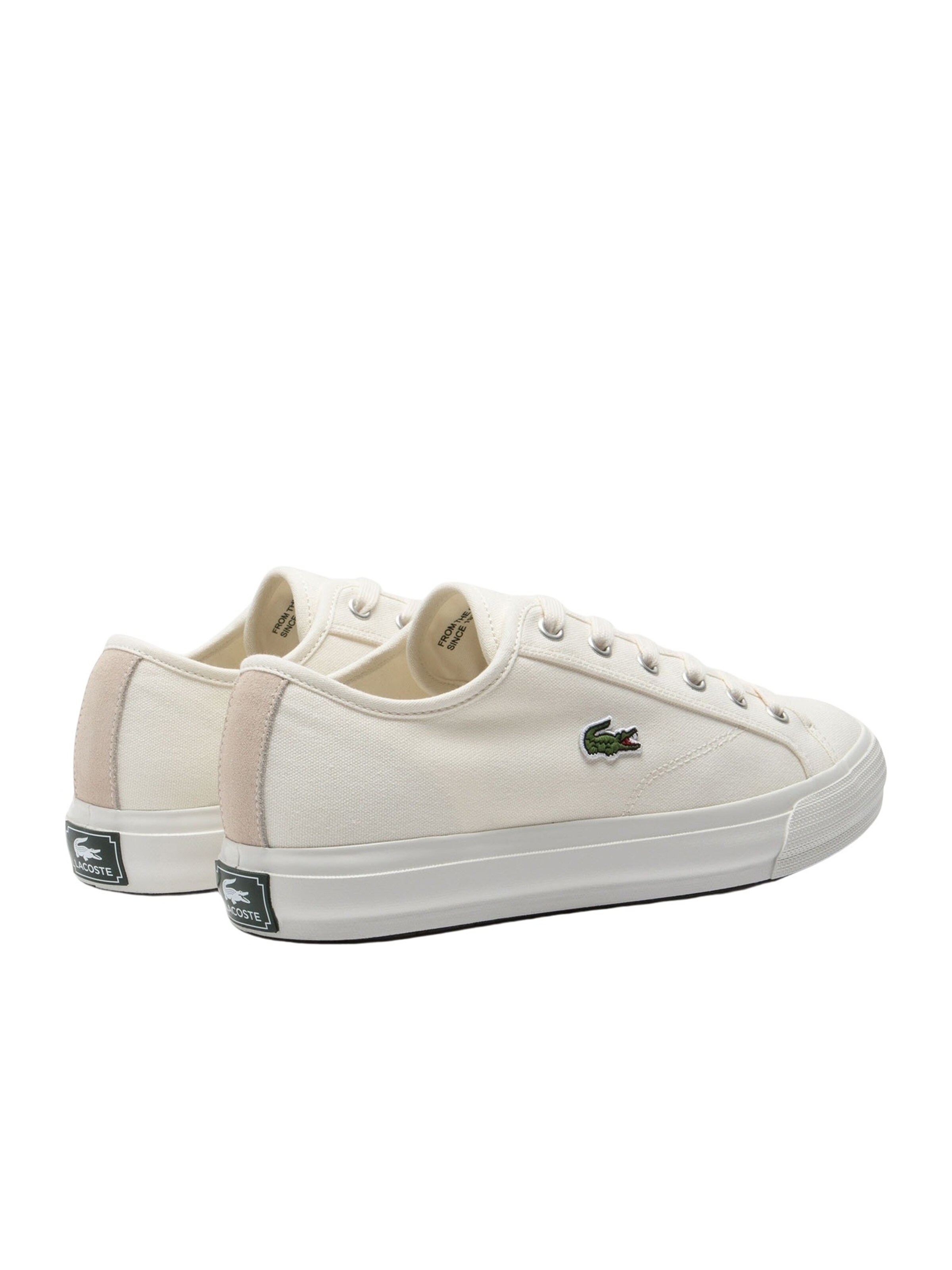 LACOSTE Sneakers laag 'Backcourt' in Wit