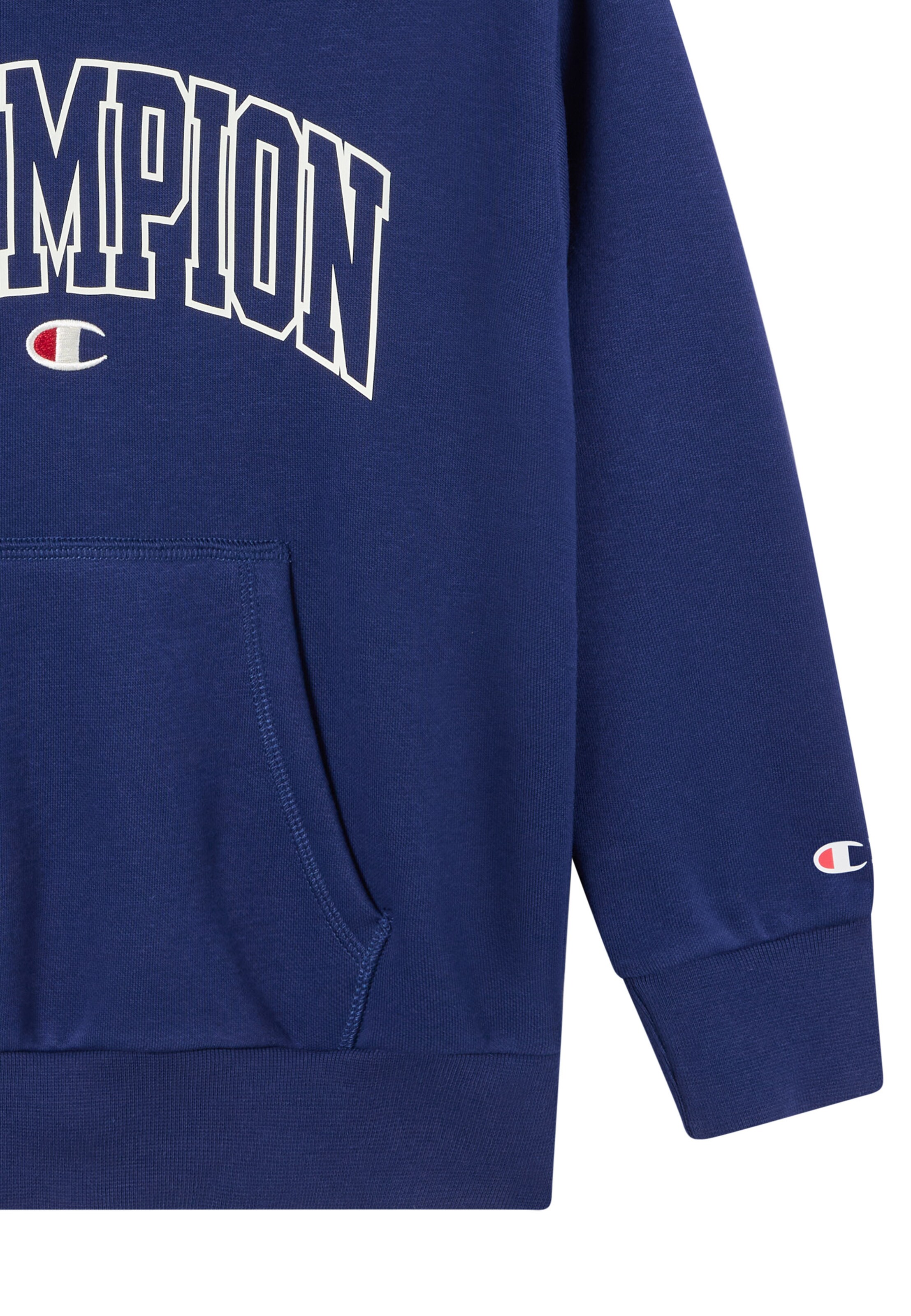 Champion Authentic Athletic Apparel Sweatshirt in Blue