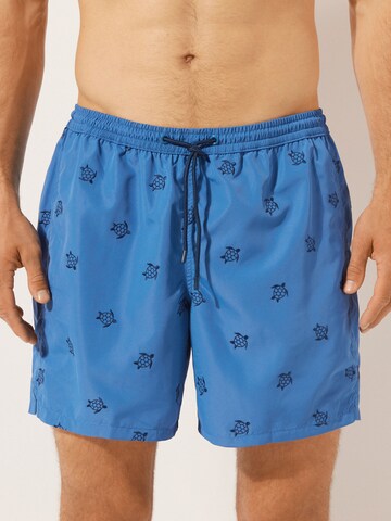 CALZEDONIA Regular Badeshorts in Blau: Vorderseite