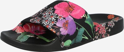 Ted Baker Pistokkaat 'Ashlin' värissä sekavärit / musta, Tuotenäkymä