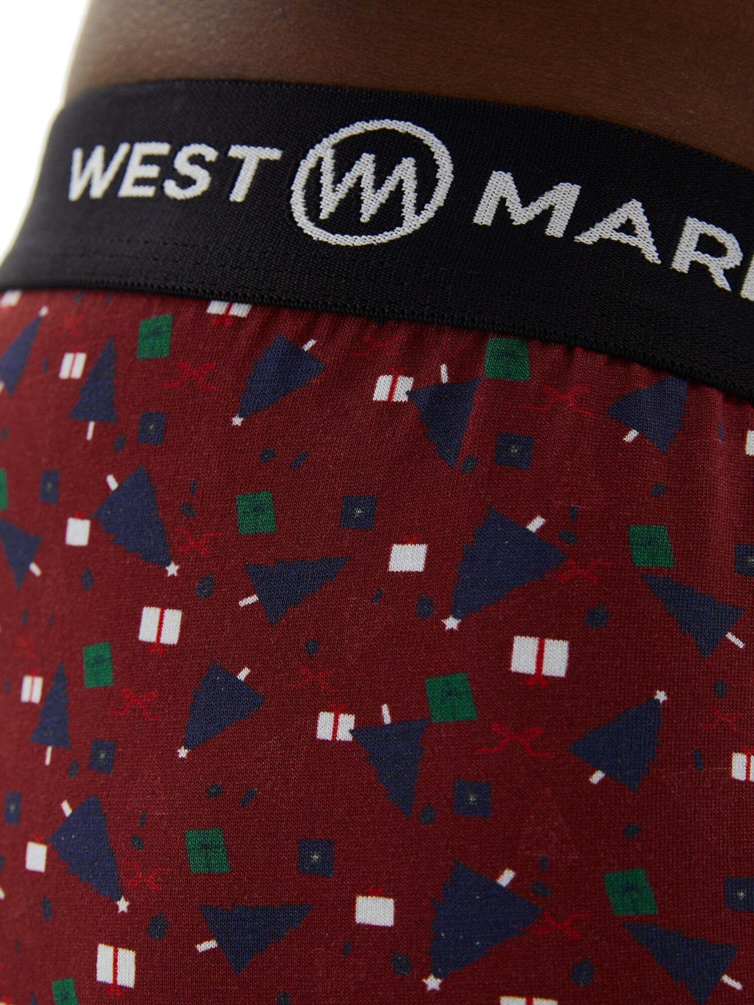WESTMARK LONDON Boxer shorts in Mixed colours