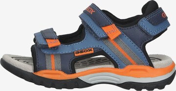 Chaussures ouvertes GEOX en bleu