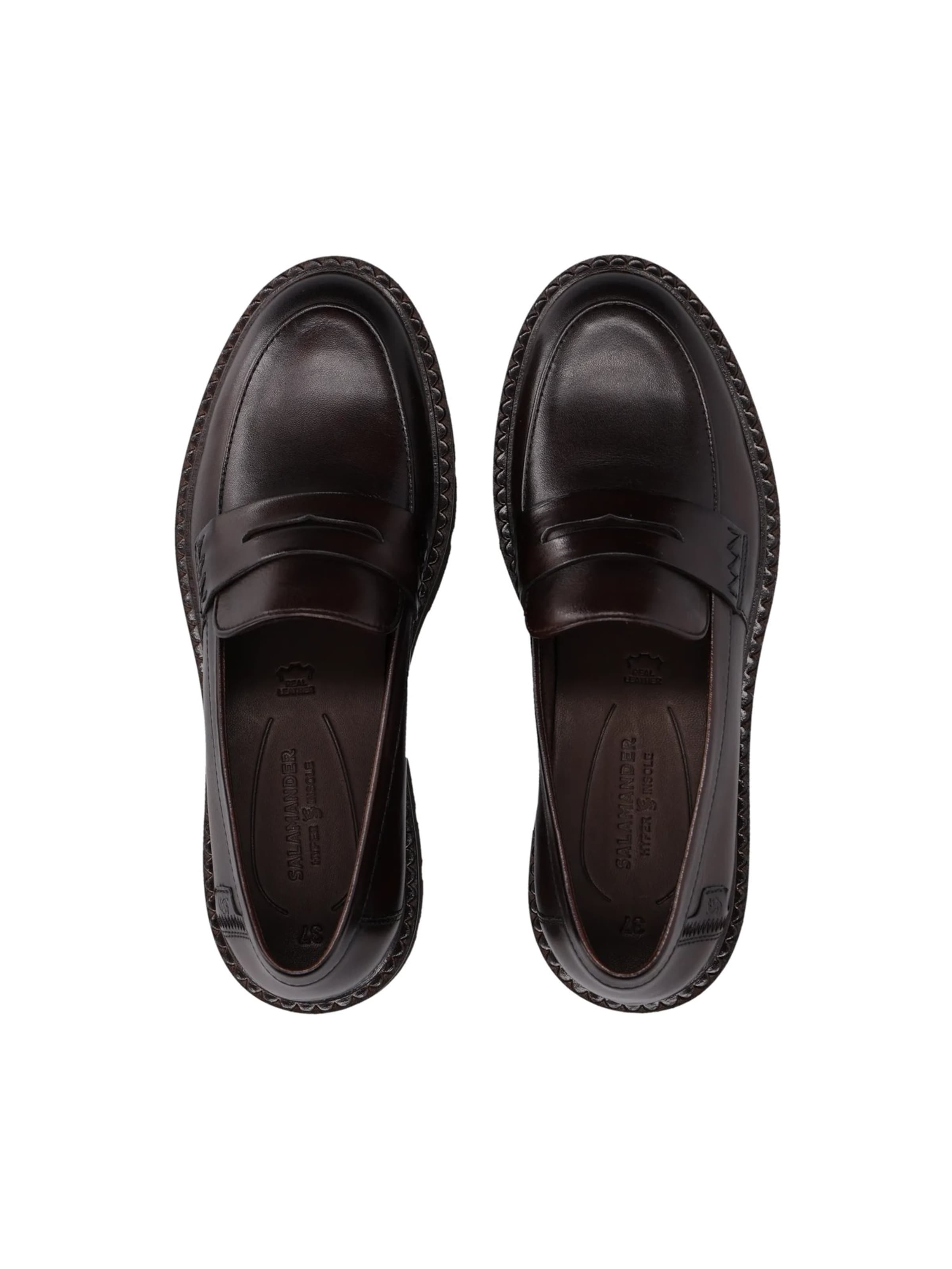 Chaussure basse SALAMANDER en marron