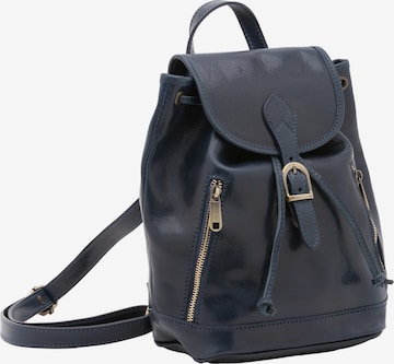 Viola Castellani Backpack in Blue: front