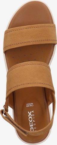 GEOX Sandalen met riem in Bruin