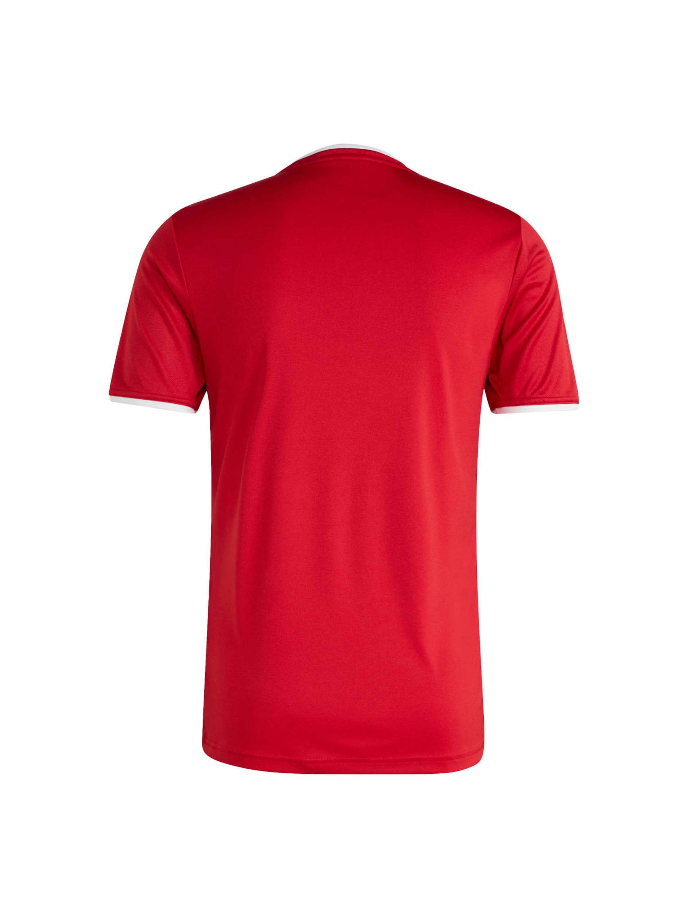 ADIDAS PERFORMANCE Funkcionalna majica 'Ent26' | rdeča barva