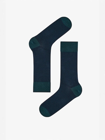 Penti Nogavice 'PENTI Pinestripe Baumwollsocken im 2er-Pack' | modra barva