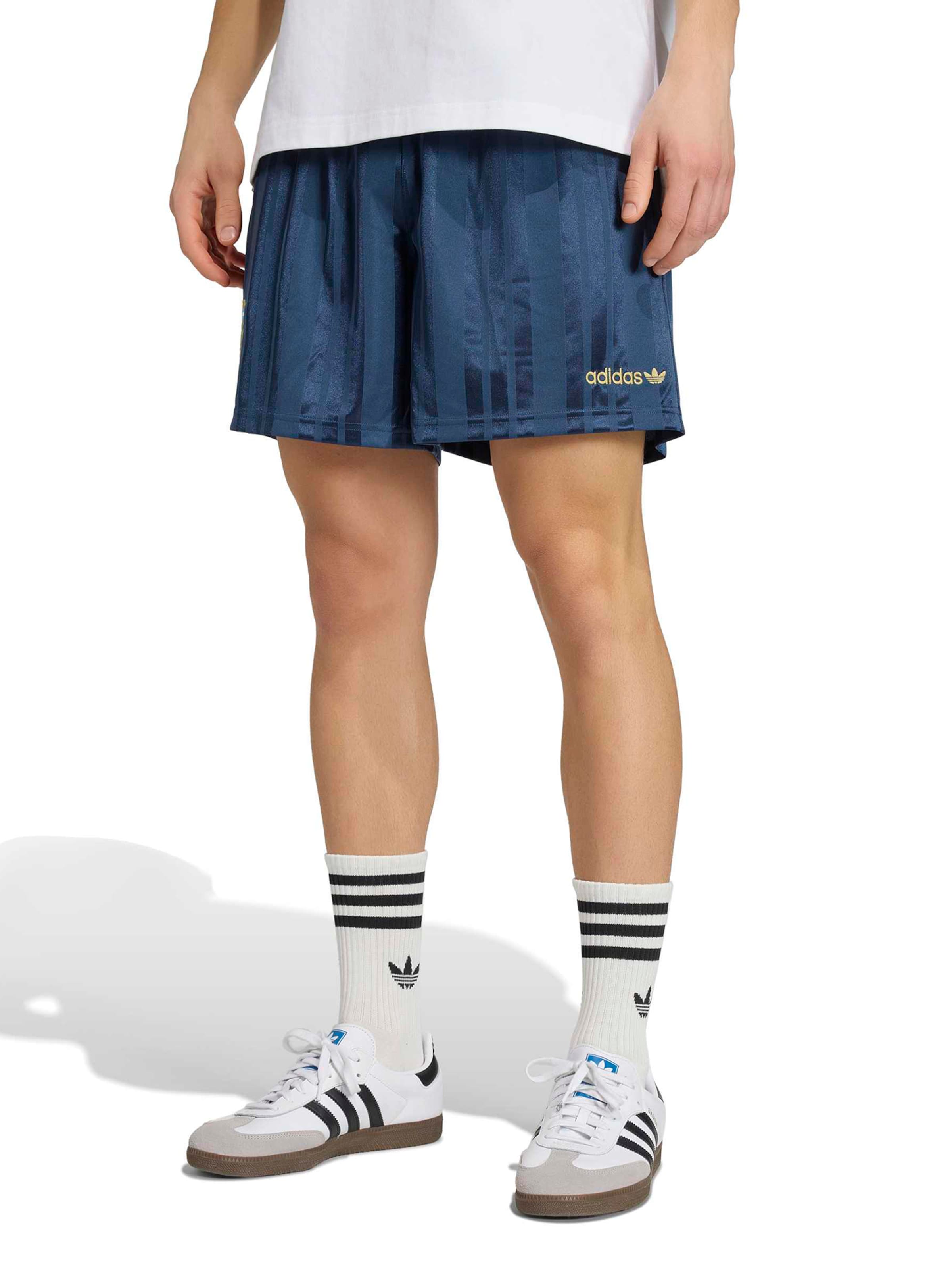 ADIDAS PERFORMANCE Loosefit Παντελόνι φόρμας 'AFA EQT' σε μπλε: μπροστά