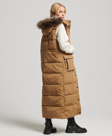 Gilet Superdry en marron