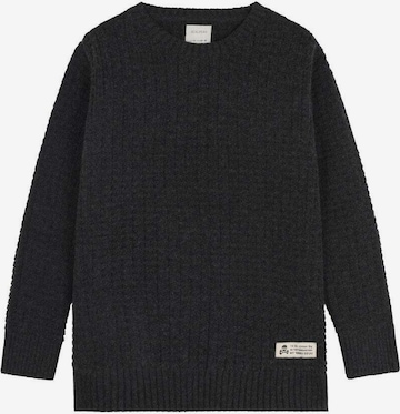 pilka Scalpers Megztinis: priekis