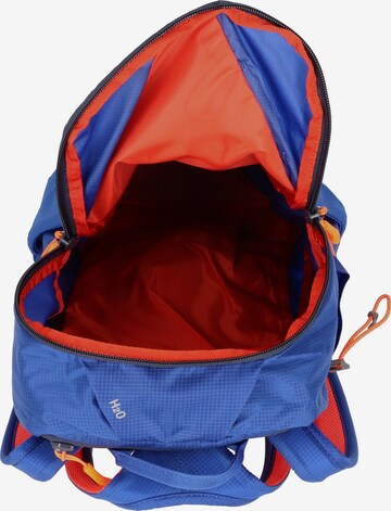 SALEWA Sports Backpack in Blue