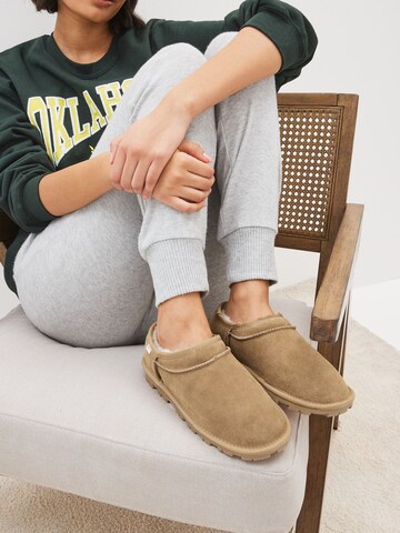 Next Toasuss, värv pruun