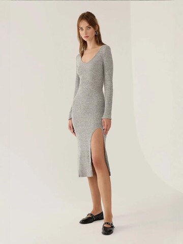 Hiccup Kleid in Grau