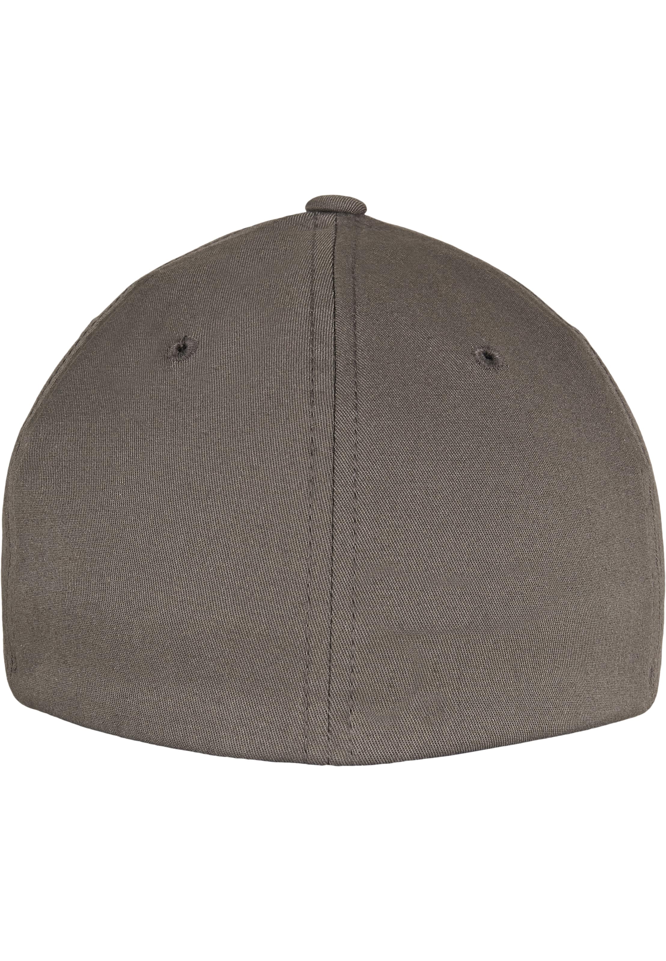 Flexfit Pet 'Alpha' in Grijs