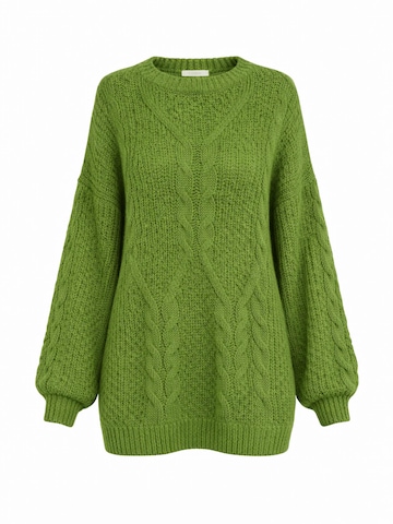 Worldclassca Sweater in Green: front