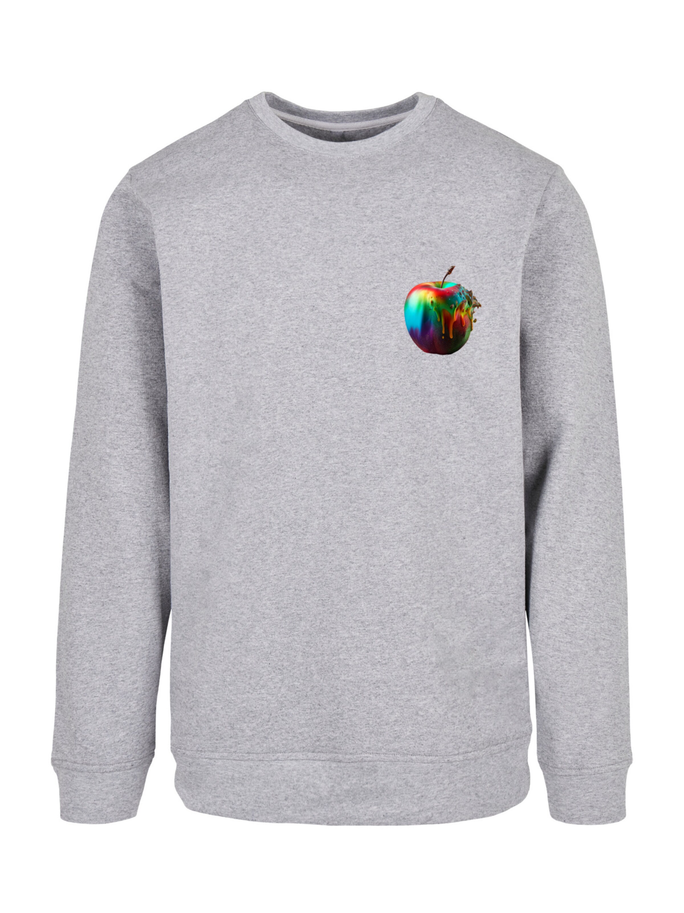 F4NT4STIC Sweatshirt in Grau: Vorderseite