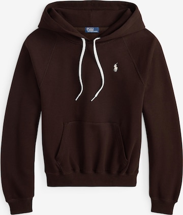 Polo Ralph Lauren Sweatshirt in Brown: front