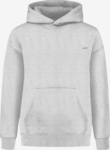Smilodox Zip-Up Hoodie in Grey: front