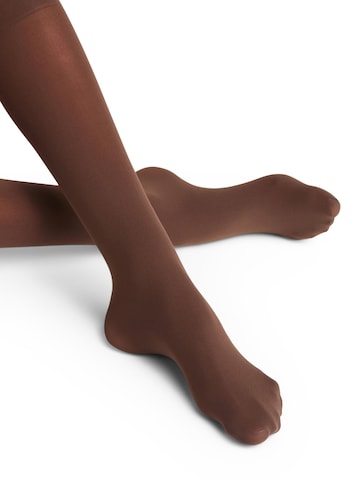 FALKE Overknee Strümpfe 'Pure Matt'‌‌‌‌‌‌‌‌‌‌ in Braun