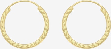 Boucles d'oreilles Lucardi en or : devant