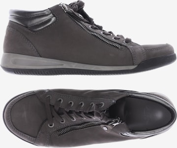 ARA Sneaker 40,5 in Grau: predná strana