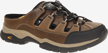 CAMEL ACTIVE - Socas 'Bud Two' em castanho: frente