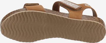 IGI&CO Strap Sandals in Brown