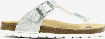 Richter Schuhe Sandalen in Zilver: voorkant