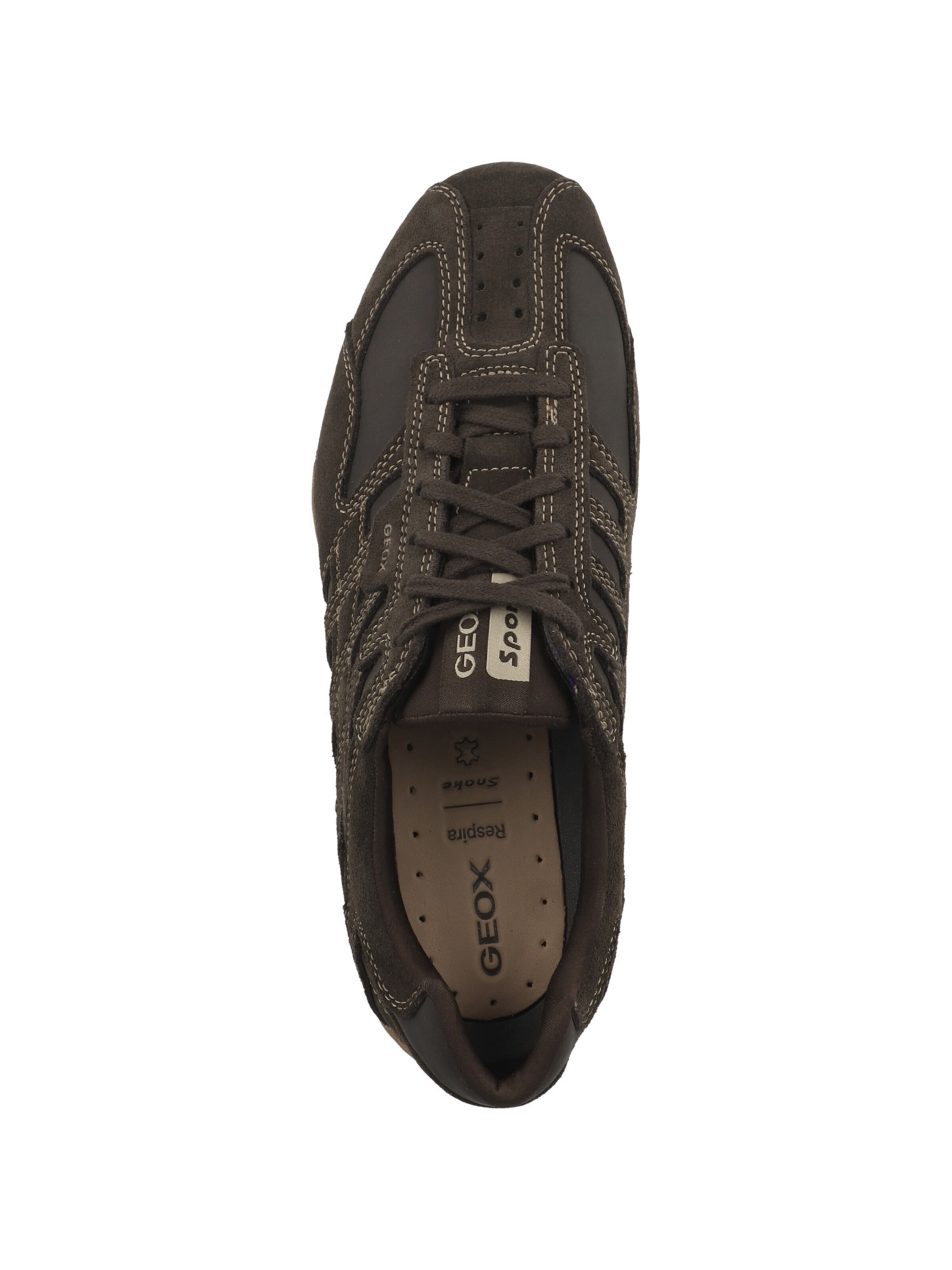 GEOX Platform trainers in Brown