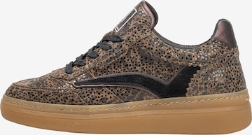 Floris van Bommel Sneaker 'Fygi 01' in Braun: Vorderseite