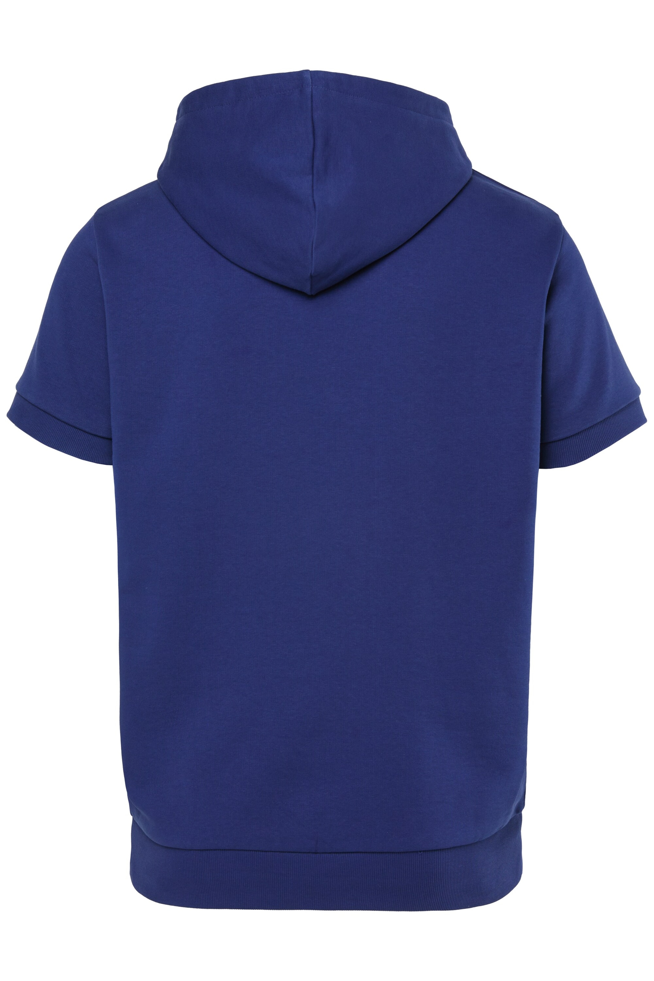 Men Plus Sweatshirt in Blue