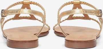 Kazar Strap Sandals in Gold