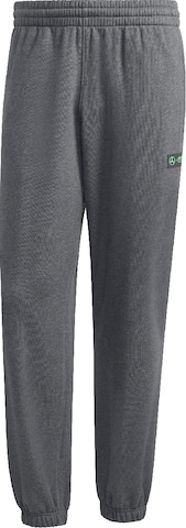 ADIDAS PERFORMANCEregular Sportske hlače 'Mercedes - AMG Petronas Formula One Team' - siva boja: prednji dio