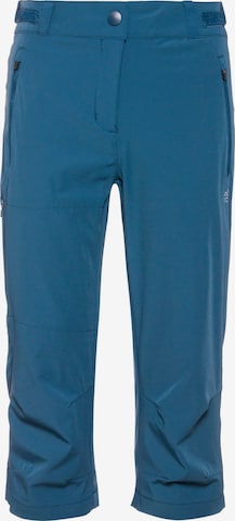 OCK Regular Outdoor Pants in Blue: front