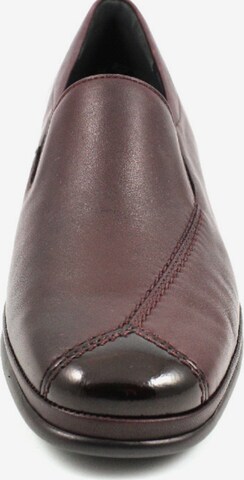 SEMLER Classic Flats in Brown